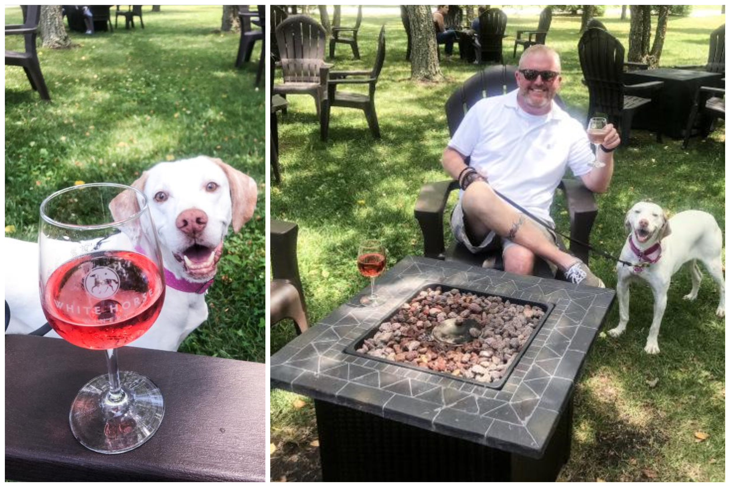 White-Horse-Winery-Final