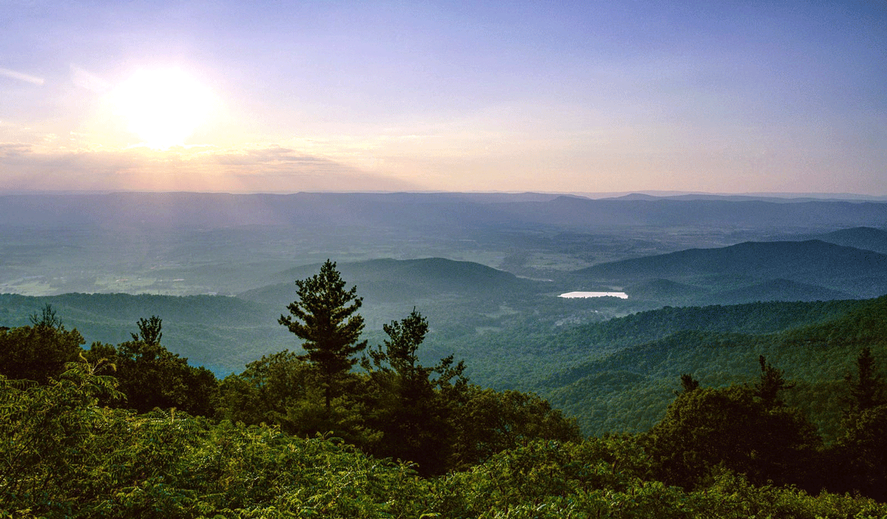 Exploring Dog-Friendly Vineyards Along the I-81 Corridor of Virginia