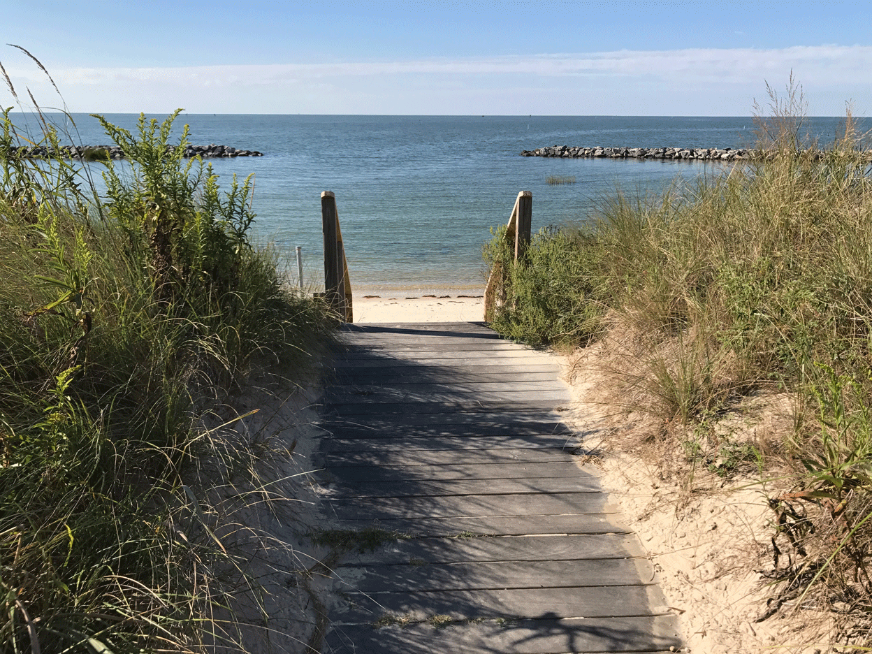 Exploring Dog-Friendly Vineyards Along Virginia and Maryland’s Eastern Shore