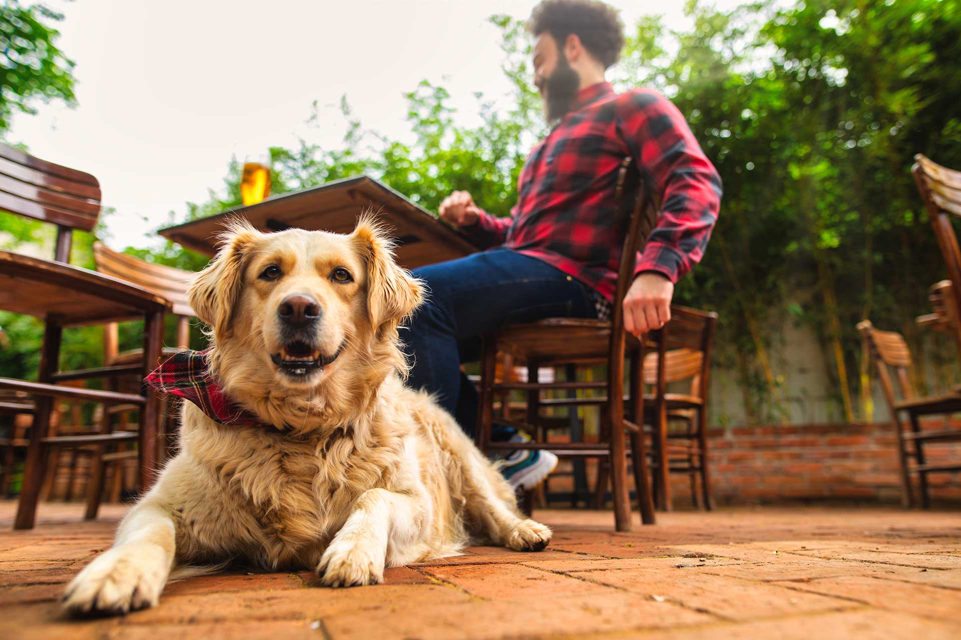 The Cork Hounds Blog