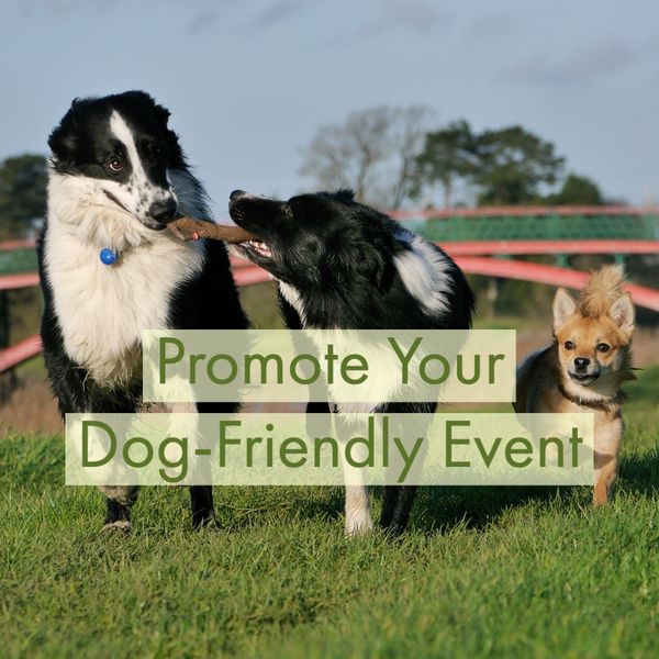 Promote Your Next Event With Cork Hounds