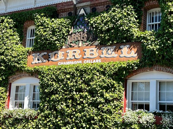 Images From a Recent Visit to the Russian River Valley